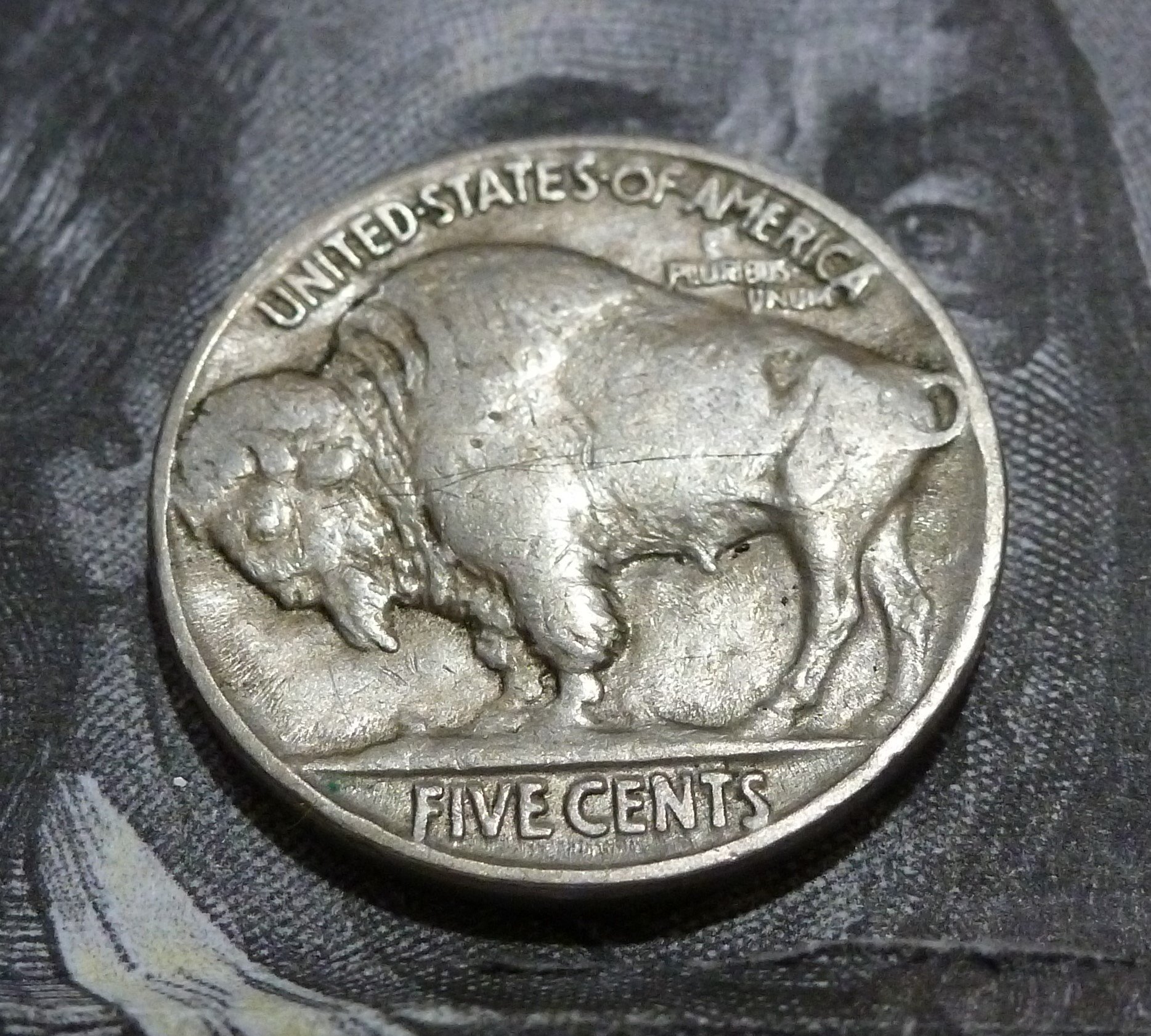 1929 buffalo nickel worth